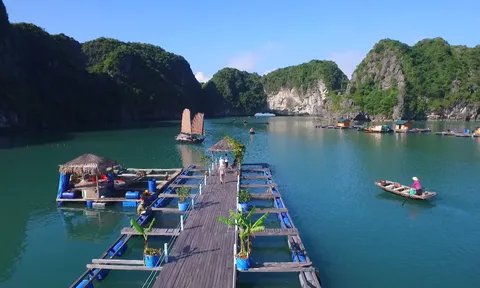 Giữ Vịnh Hạ Long xanh